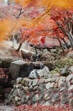1024人妻一区二区三区四-1024，数字背后的网络文化与误解揭秘