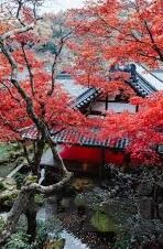 91制片厂果冻传媒麻豆-91制片厂、果冻传媒与麻豆，数字时代的媒体娱乐新生态
