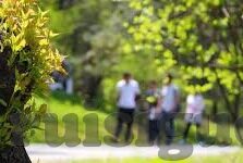 成人欧美高清在线视频-成人欧美高清在线视频，探索文化与娱乐的交汇点