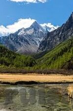 丁香五月成人视频-丁香五月，春日里的秘密芬芳