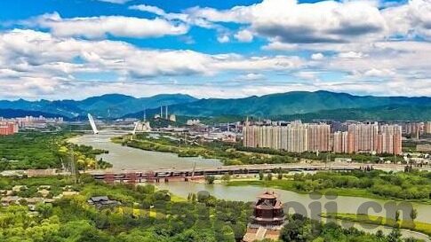 高清伦理在线网址-探索高清伦理内容的正确途径