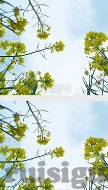 伦理图片视频亚洲-伦理、图片、视频与亚洲文化的交织探讨