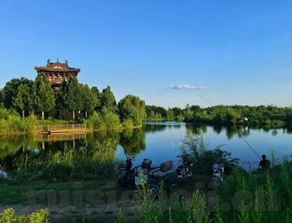 麻豆传媒影-麻豆传媒，光影背后的艺术与现实交织