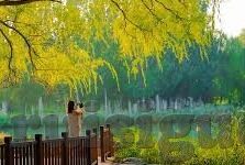麻豆专区av-为影视创作与教育视角探索，麻豆专区AV的艺术与争议