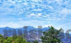 糖心视频官网免费下载-探索糖心视频平台的视频娱乐新风尚
