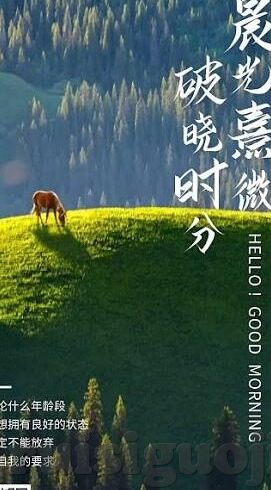 糖心vlog锅锅酱-糖心Vlog，锅锅酱的甜美日常