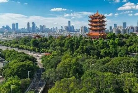 新新理论全部电影中文字幕-探索新新理论的电影世界，全中文字幕的视觉盛宴
